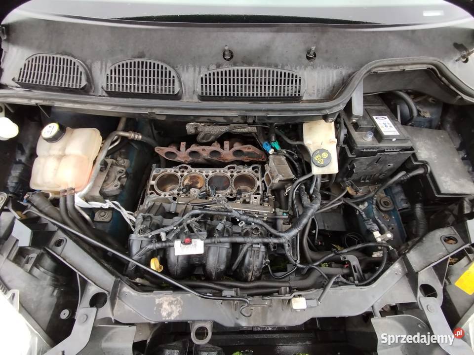 Ford Focus c Kolbuszowa