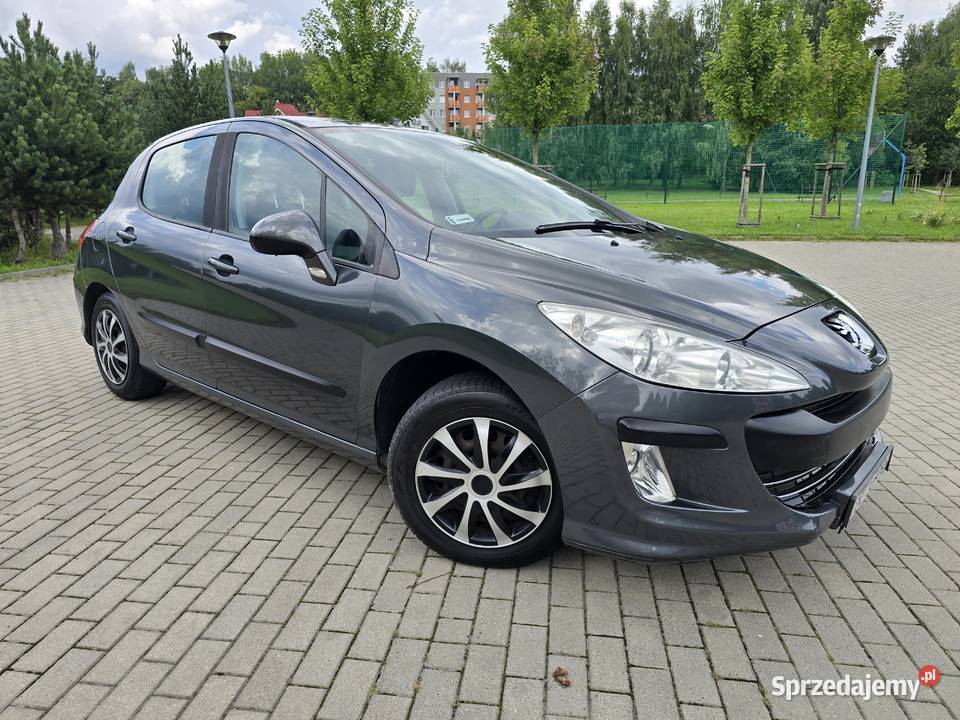 Peugeot 308 14 Benzyna GAZ LPG klima ładny BEZ CD podkarpackie