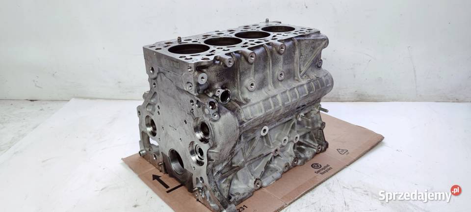 BLOK SILNIKA AUDI A6 C8 DFB 20 TDI 05L103023 Przystajń sprzedam