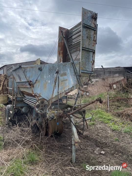 Kombajn Anna z644 do ziemniaków nieuszkodzony Chomętowo