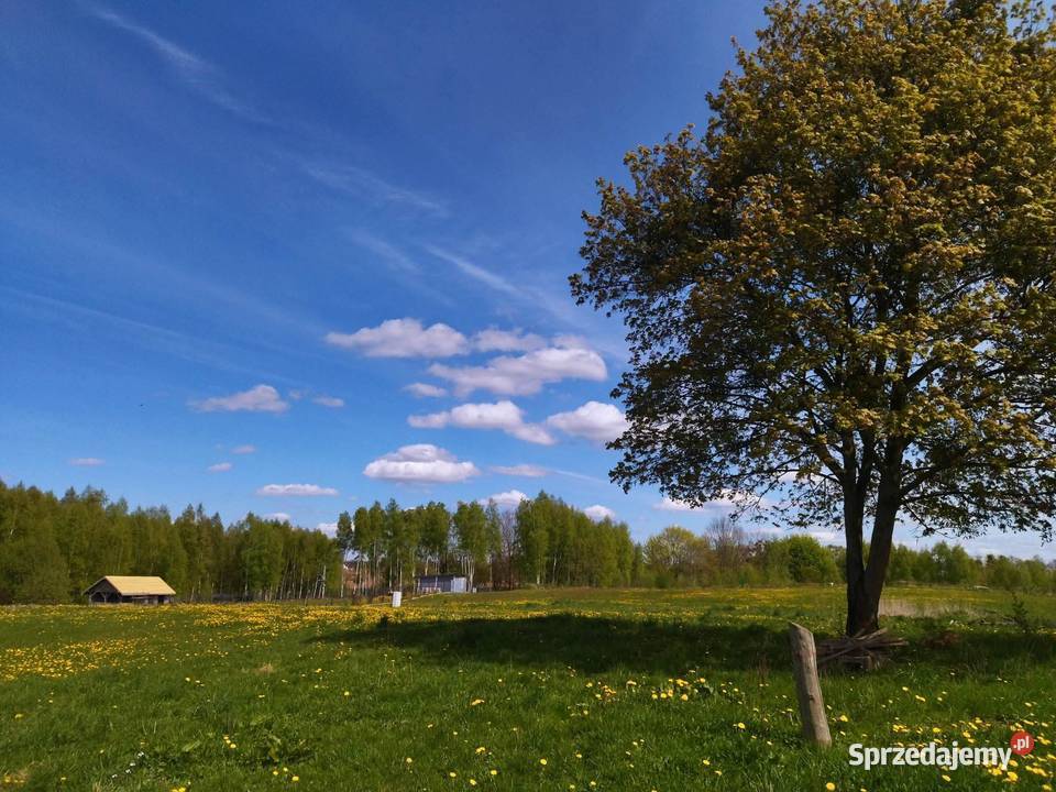 Działka rekreacyjna z możliwością zabudowy Raj sprzedam
