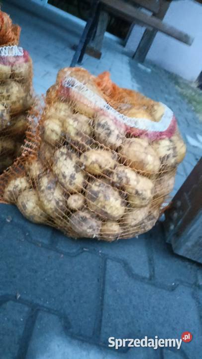 Ziemniaki młode Produkcja roślinna Dąbrowa sprzedam