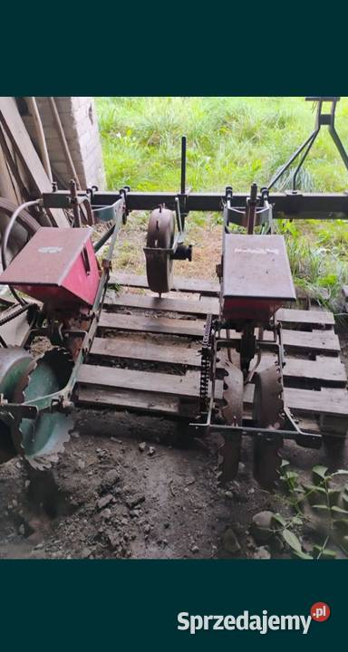 Siewnik do kukurydzy mazowieckie Zychorzyn