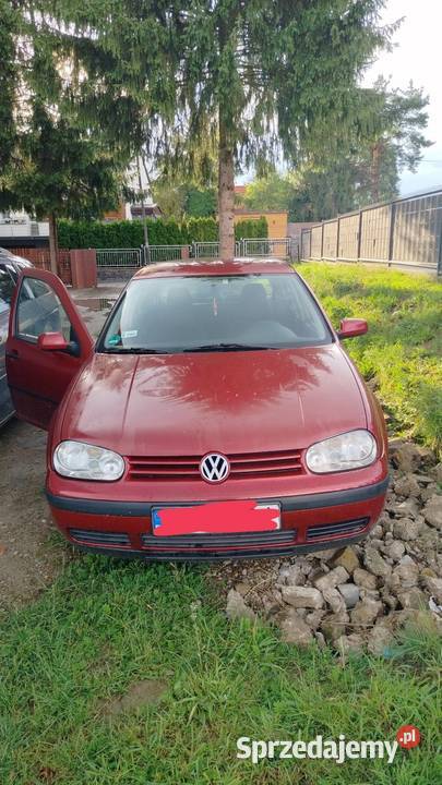 Volkswagen Golf 16 benzyna Golf Tuchów