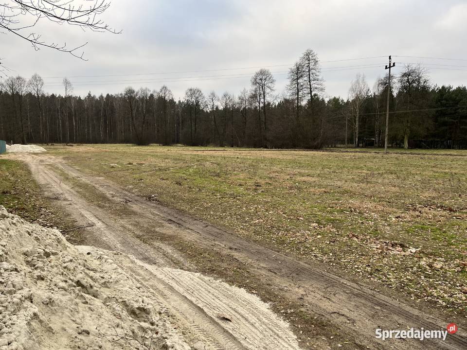 Syndyk Sprzeda Nieruchomość Pszczółki - Sprzedajemy.pl