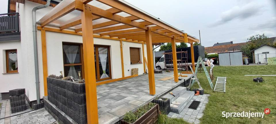 kantówki szkielet Błotnica Strzelecka sprzedam