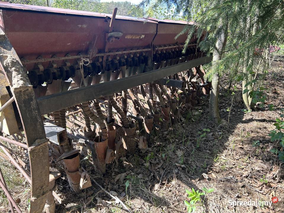 Siewnik zbożowy Zbuczyn sprzedam