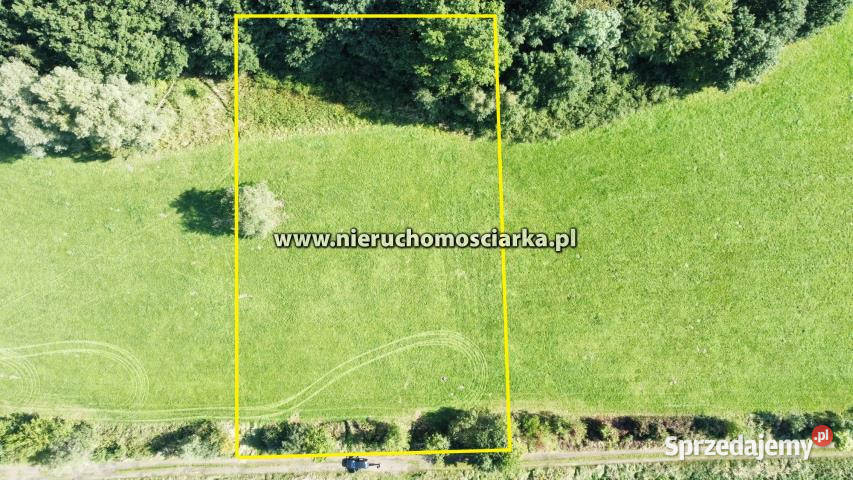 Działka 2780m2 Syrynia