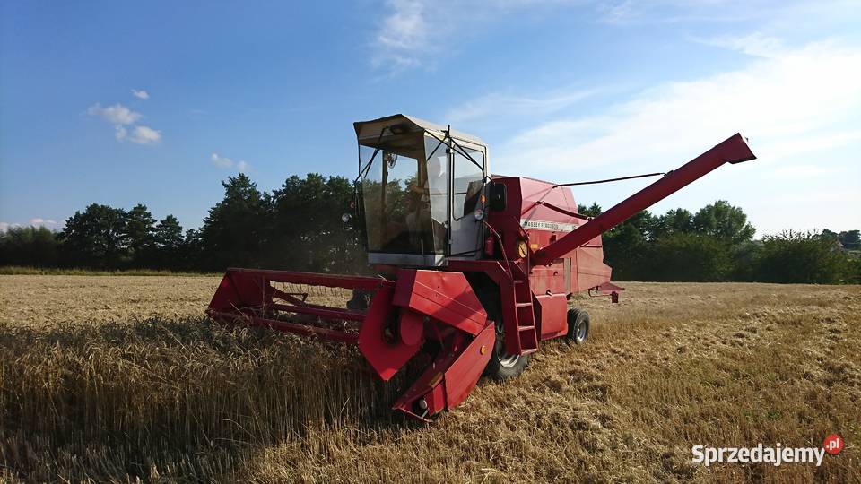 Massey ferguson 16 Michałowice
