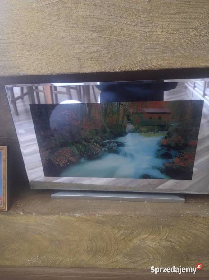 obraz elektryczny z muzyką ptaków