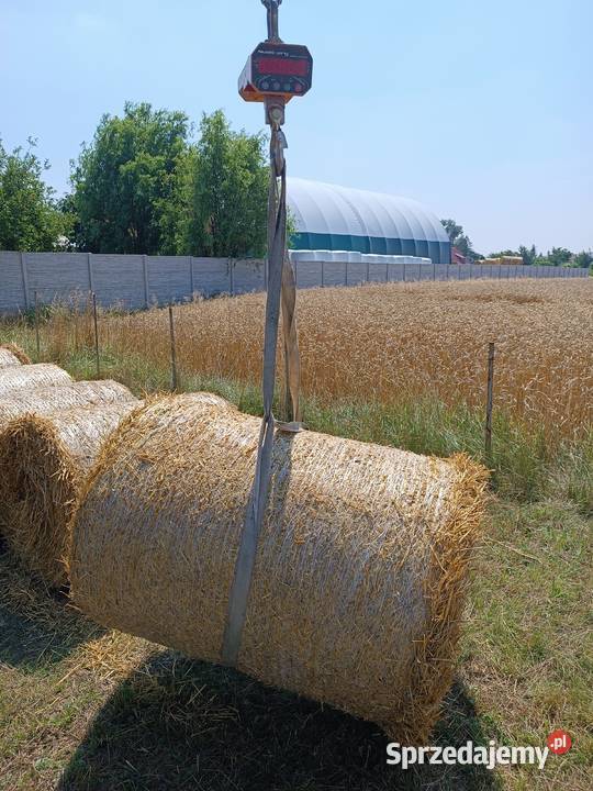 Sprzedam słomę jęczmienną małe bele