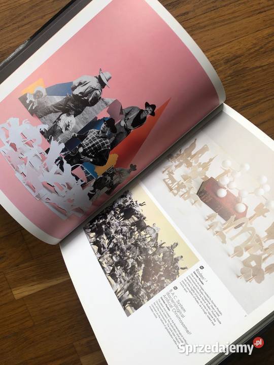Stereo Graphics Victionary Szramowo sprzedam