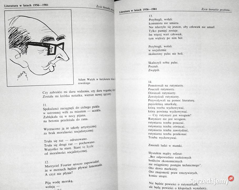 Literatura polska 1939 roku Tomasz Wroczyński miękka sprzedam