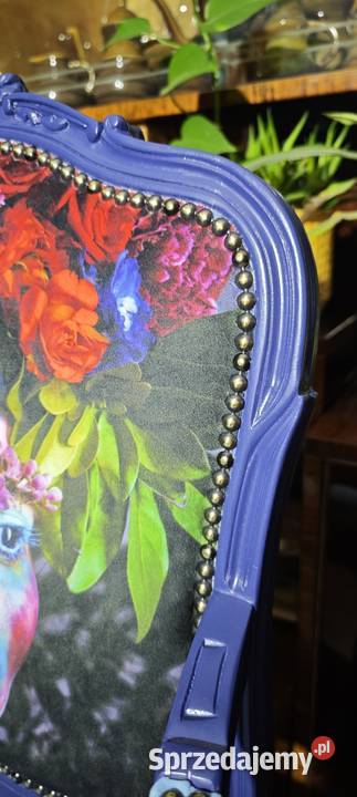 Fotel Ludwikowski ludwik Wrocław