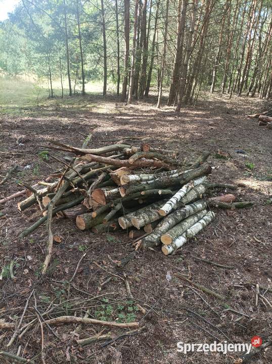 Drewno opałowe wałki 2m SOSNA domieszką BRZOZA Czerwonak