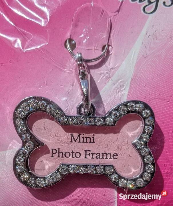 5 sztuk identyfikatorów psów adresówki mazowieckie Warszawa