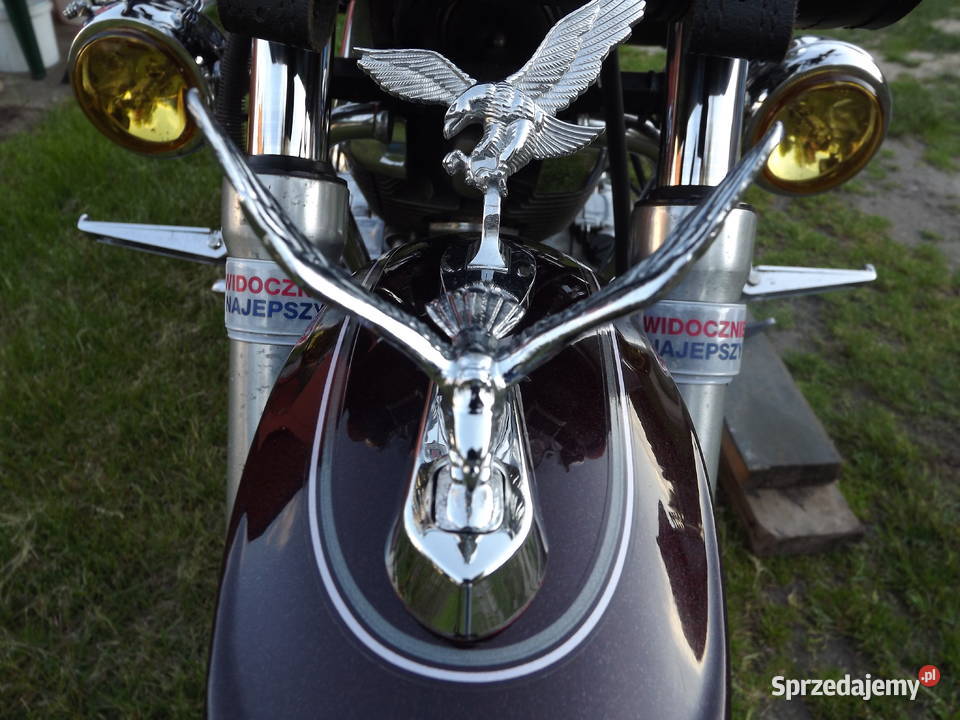 Chromowany Orzeł na błotnik motocykla Ornament w Konstantynów Łódzki sprzedam