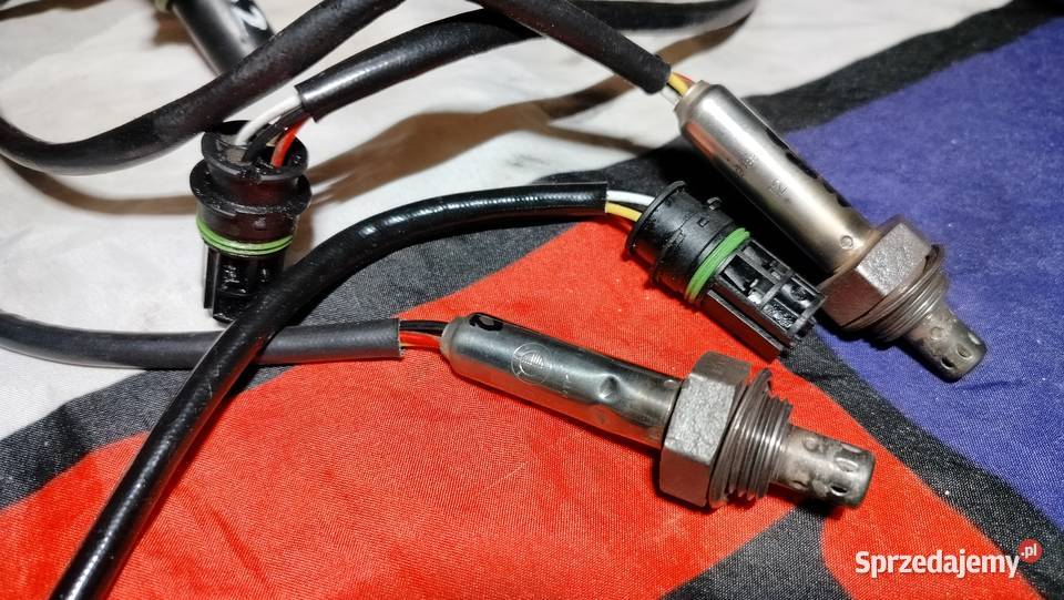 Bmw e39 e36 e38 m52 sondasondy simens sprawne Aleksandrów Łódzki sprzedam