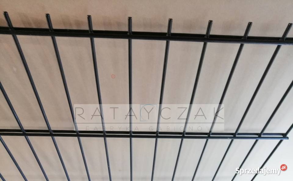 Panel 2D 868mm 123m Systemowe Przemysłowe Ogrodzenia i bramy Gniewkowo