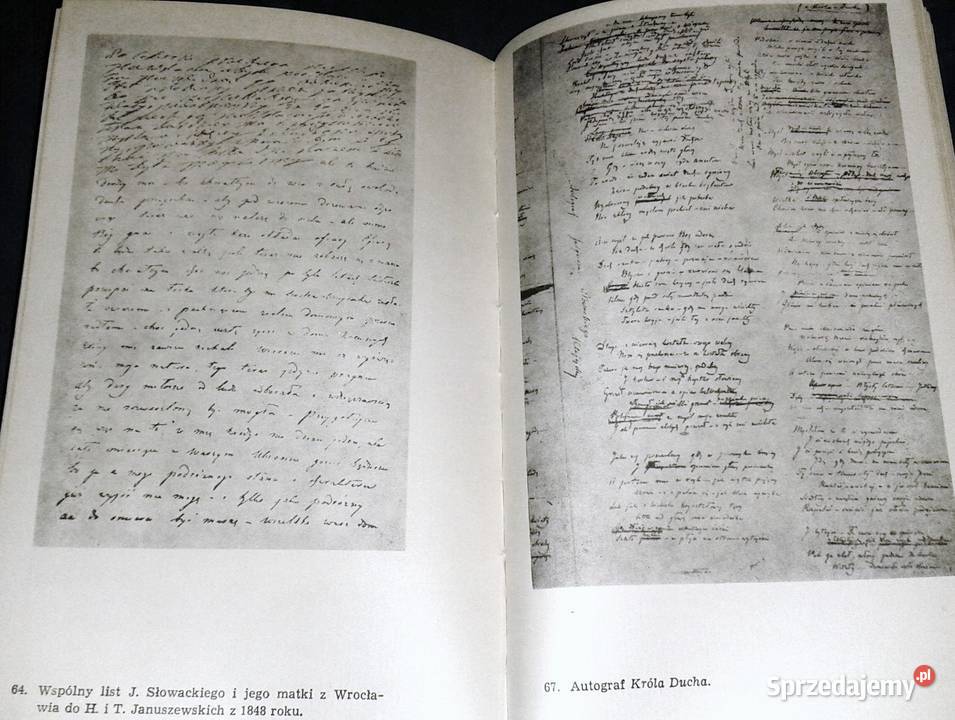 Słowacki Opowieść biograficzna Zbigniew Sudolski