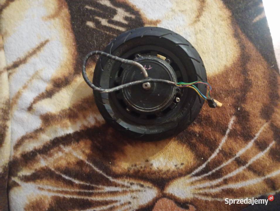 silniki kukirina G2 master dwa Suwałki