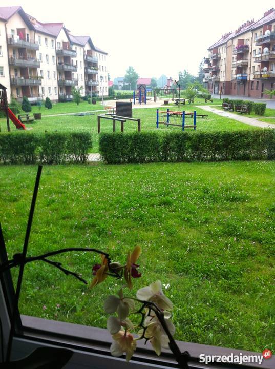 tbs Oświęcim Stare Stawy Oświęcim