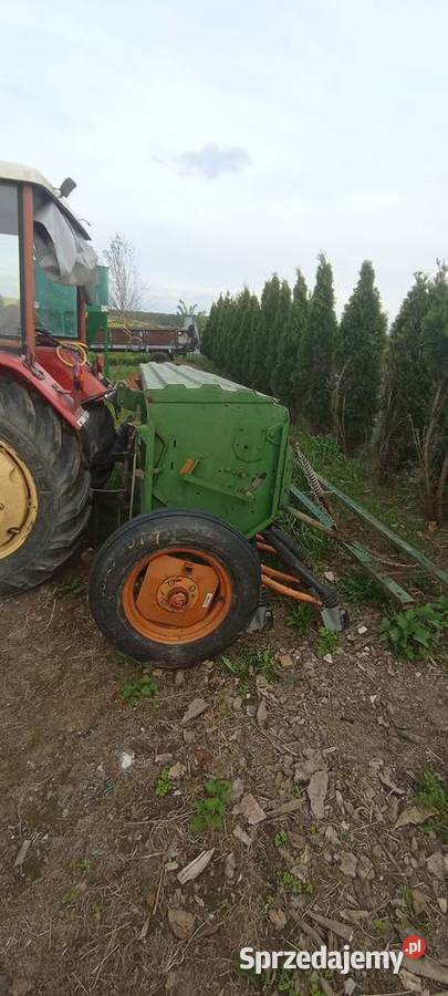 Siewnik zbożowy amazone d8 special Skierniewice sprzedam