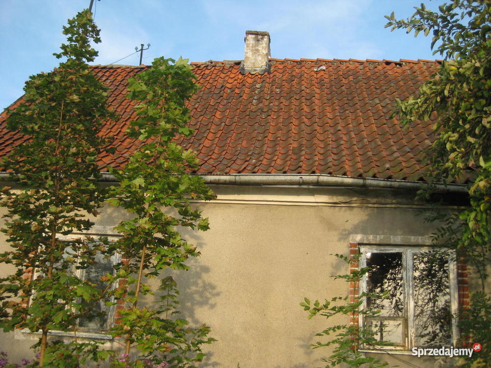 siedlisko 9000m2 warmińsko-mazurskie Krzewno