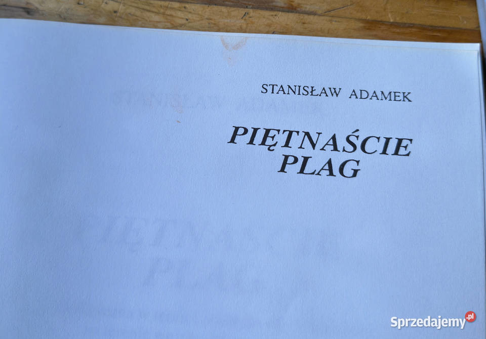 Dzieci a kara fizyczna piętnaście plag nietypowe śląskie Sosnowiec