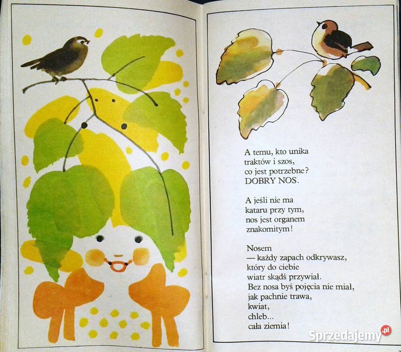 Złote bursztyny Halina Szayerowa sprzedam