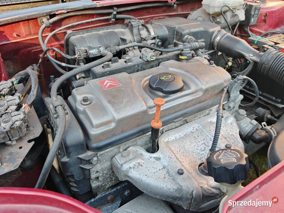 Citroen Saxo FL 11 2002 Bydgoszcz