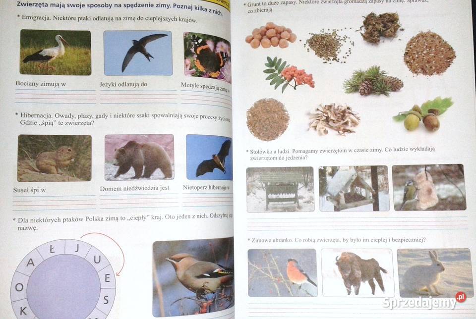 Zielona podróż kl 3 Ewa Borysiuk