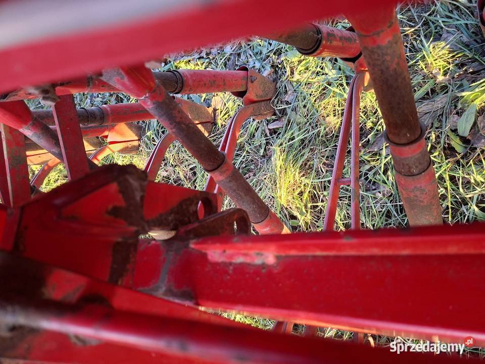 Siewnik Tolniki Wielkie