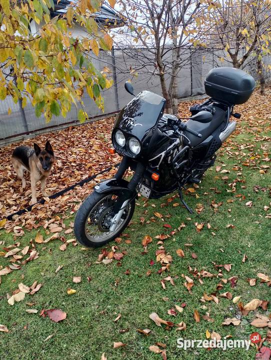 Triumph Tiger 900 T400 garażowany Jaworzno