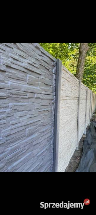 Profesjonalne malowanie płotów i ogrodzeń