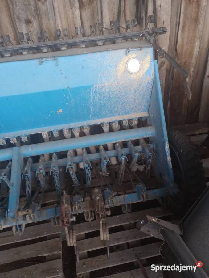 Siewnik Poznaniak podlaskie Szepietowo