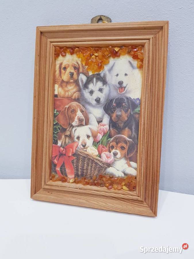 Ozdobny obrazek z bursztynkami