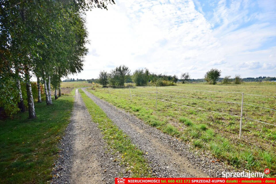 działka budowlana wydane WZ pow 1703 Nieruchomości Motycz