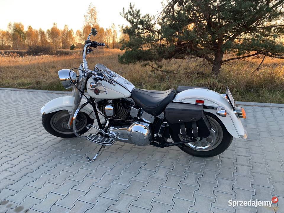 Fat Boy biała perła Częstochowa