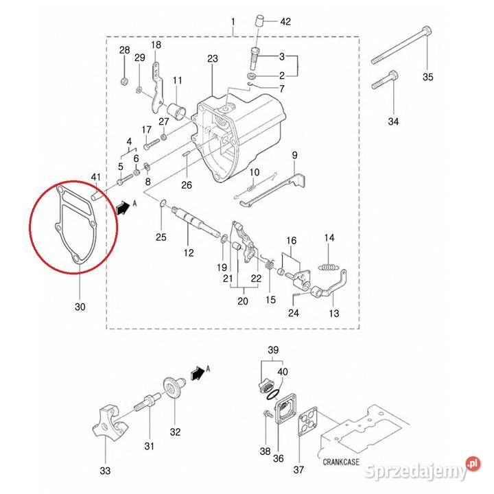 Uszczelka 40109273 LS Tractor Silnik i osprzęt