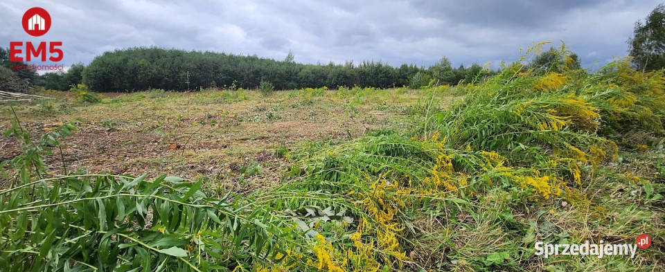 Działka Kolonia 3063 metry Halickie