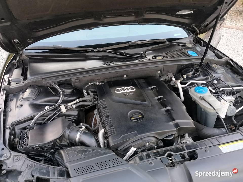 Audi A5 Coupe Quattro Rok produkcji 2014 Zaborów