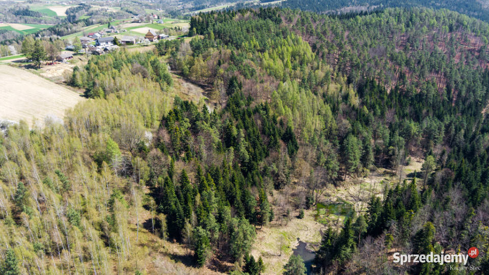 Na sprzedaż gospodarstwo rolne w Jastrzębi Liczba pokoi 3