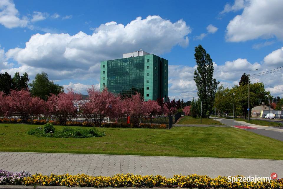 Olympus STYLUS XZ2 12 Mpixf18254x zoom Pabianice