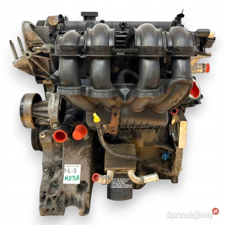 SILNIK HXDA Ford Focus II MK2 C C 16 16V Ti HXDB osobowe Chełm