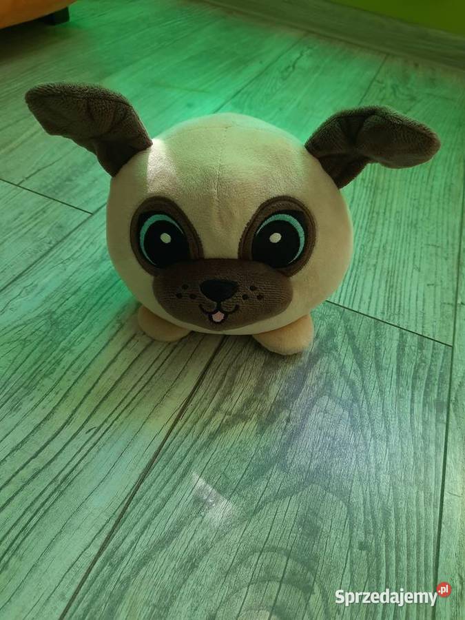 10 pluszaków dzieci Goleniów sprzedam