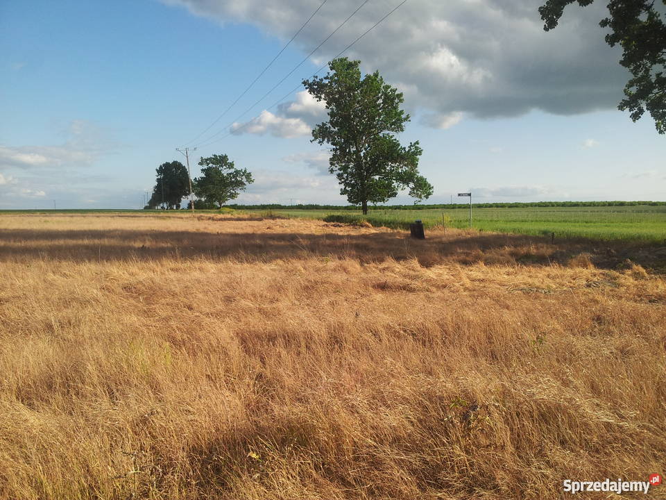 Działki budowlane w Witkowie koło Stargardu polna zachodniopomorskie Witkowo Drugie