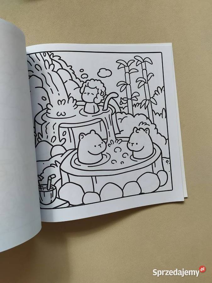 Kolorowanka cozy zestaw 2 sztuk Koszalin