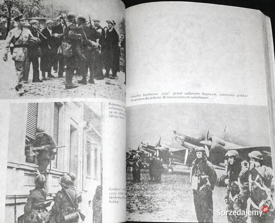 Walka i zwycięstwo Wkład narodu polskiego miękka Chełm