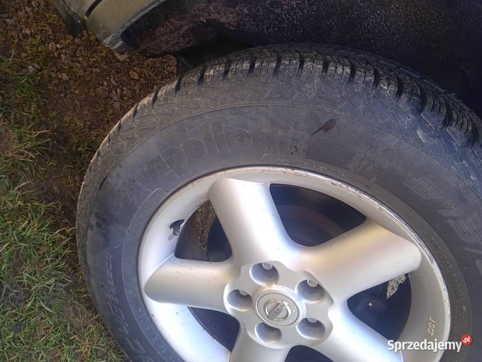 Nissan śląskie Jastrząb